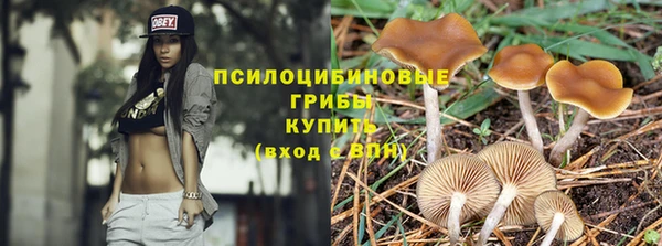 стафф Краснослободск