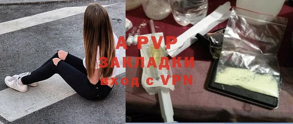стафф Краснослободск