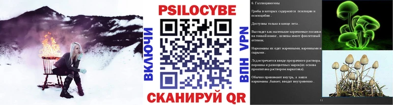 Купить закладки  Дедовск  Галлюциногенные грибы мухоморы 